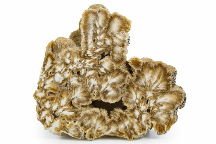 Polished Barite With Pyrite Slab - Lubin Mine, Poland #346200